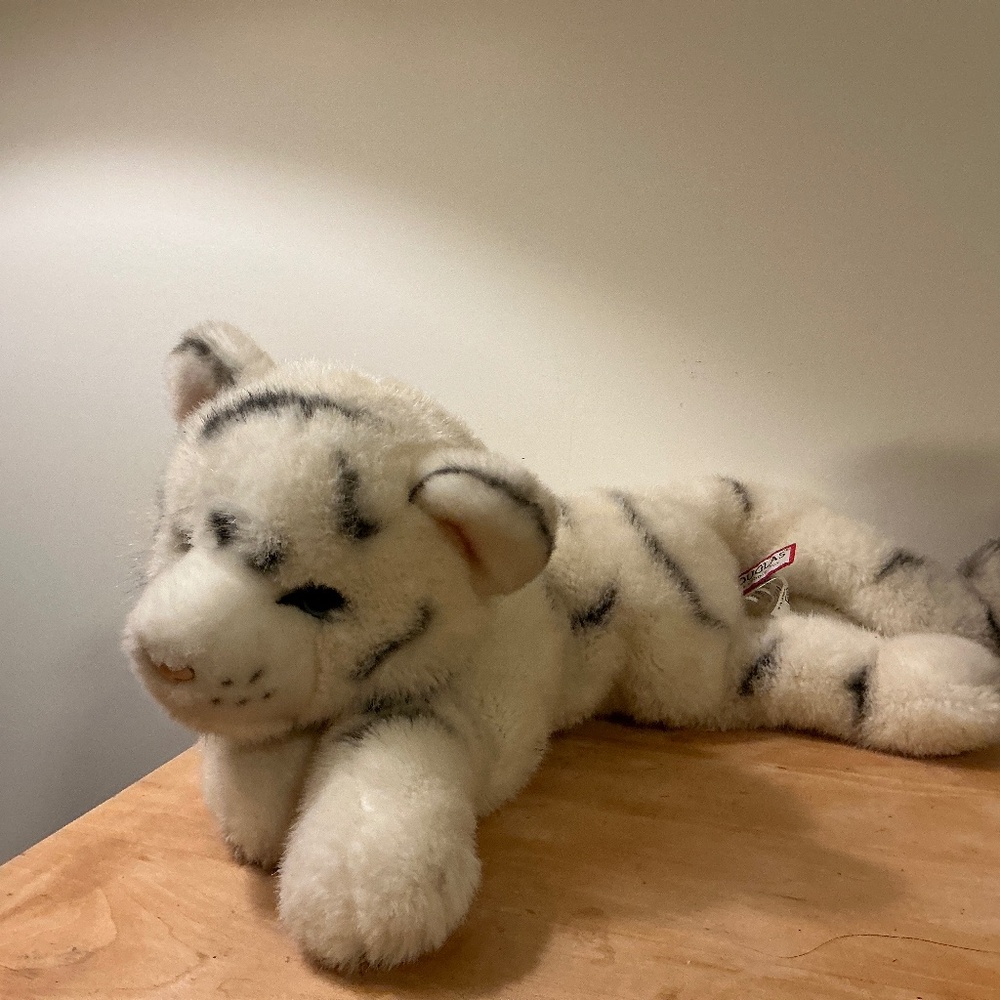 Douglas White tiger Cat.